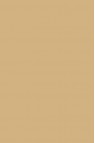 Liquitex Basics Acrylic Studio: Unbleached Titanium 22ml