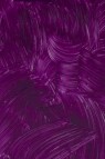 Gamblin Artist Oil: Manganese Violet 150ml