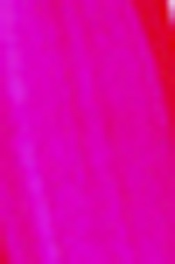 Golden Heavy Body Acrylic: Fluorescent Magenta 59ml