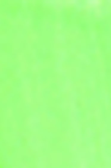 Golden Heavy Body Acrylic: Fluorescent Green 118ml