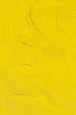 Gamblin 1980 Oil: Cadmium Yellow Light 150ml