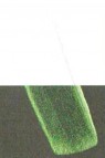 Golden Fluid Acrylic: C.T. Interference Green Orange 118ml