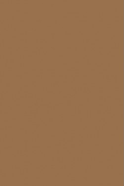 Liquitex Basics Acrylic Studio: Bronze 118ml