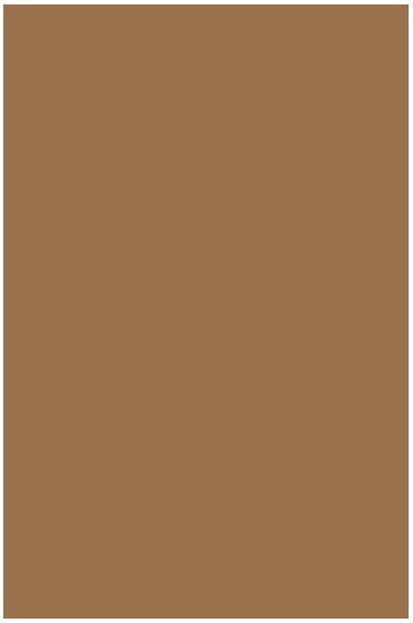 Liquitex Basics Acrylic Studio: Bronze 22ml