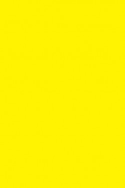 Liquitex Basics Acrylic Studio: Cadmium Yellow Light Hue 400ml