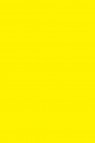 Liquitex Basics Acrylic Studio: Cadmium Yellow Light Hue 400ml