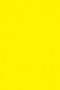 Liquitex Basics Acrylic Studio: Primary Yellow 400ml