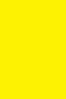 Liquitex Basics Acrylic Studio: Primary Yellow 400ml
