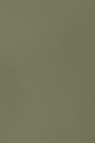Liquitex Basics Acrylic Studio: Green Grey 22ml