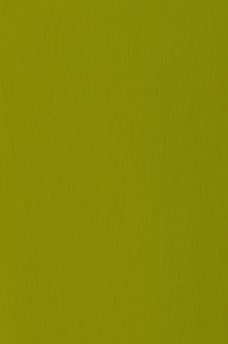 Liquitex Basics Acrylic Studio: Light Olive Green 22ml