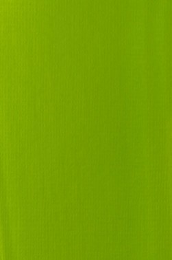 Liquitex Basics Acrylic Studio: Lime Green 22ml