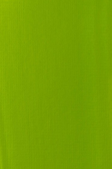 Liquitex Basics Acrylic Studio: Lime Green 118ml
