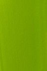 Liquitex Basics Acrylic Studio: Lime Green 22ml