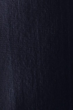 Liquitex Basics Acrylic Studio: Prussian Blue Hue 22ml
