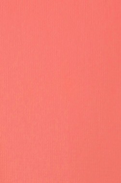 Liquitex Basics Acrylic Studio: Rose Pink 22ml
