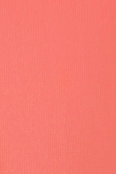 Liquitex Basics Acrylic Studio: Rose Pink 118ml