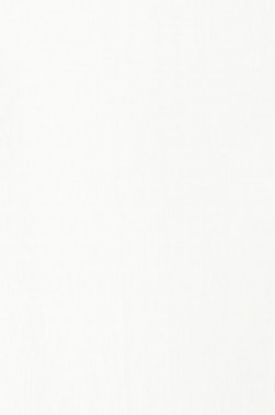 Liquitex Basics Acrylic Studio: Transparent Mixing White 22ml