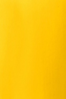 Liquitex Basics Acrylic Studio: Transparent Yellow 22ml