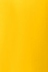 Liquitex Basics Acrylic Studio: Transparent Yellow 22ml