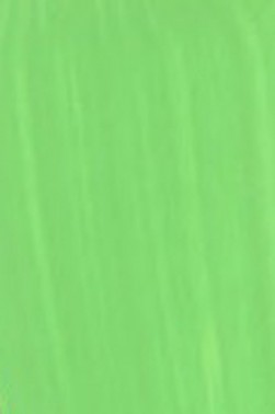 Golden Heavy Body Acrylic: Light Green Yellow Shade 148ml