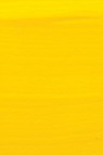 Golden Fluid Acrylic: Benzimidazolone Yellow Medium 118ml