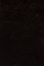 Gamblin 1980 Oil: Mars Black 150ml