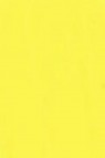 Golden Heavy Body Acrylic: Primary Yellow  59ml