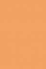 Createx Wicked Colors: Detail Driscoll Tone 59ml