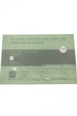 Baohong Academy Watercolor Pad Cold Pressed 300gsm 20 Sheets 12.2" x 8.3"