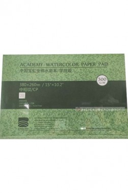 Baohong Academy Watercolor Pad Cold Pressed 300gsm 20 Sheets 210x150mm