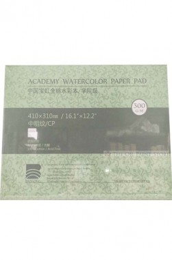 Baohong Academy Watercolor Pad Cold Pressed 300gsm 20 Sheets 16.1" x 12.2"