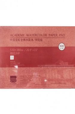 Baohong Academy Watercolor Pad Cold Pressed 300gsm 20 Sheets 530x380mm