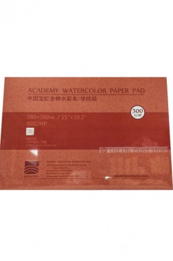 Baohong Academy Watercolor Pad Cold Pressed 300gsm 20 Sheets 380x260mm