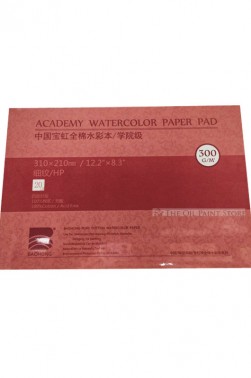 Baohong Academy Watercolor Pad Cold Pressed 300gsm 20 Sheets 310x210mm