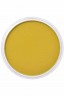PanPastel Colors: 270.3 Yellow Oxide Shade