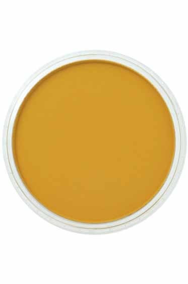 PanPastel Colors: 270.3 Yellow Oxide Shade