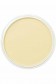 PanPastel Colors: 270.5 Yellow Oxide