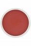 PanPastel Colors: 340.3 Permanent Red Shade
