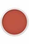 PanPastel Colors: 380.5 Red Iron Oxide