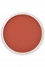 PanPastel Colors: 380.5 Red Iron Oxide