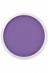 PanPastel Colors: 470.5 Violet