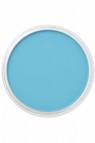 PanPastel Colors: 580.5 Turquoise