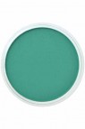 PanPastel Colors: 620.3 Phthalo Green Shade