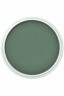 PanPastel Colors: 640.1 Permanent Green Extra Dark