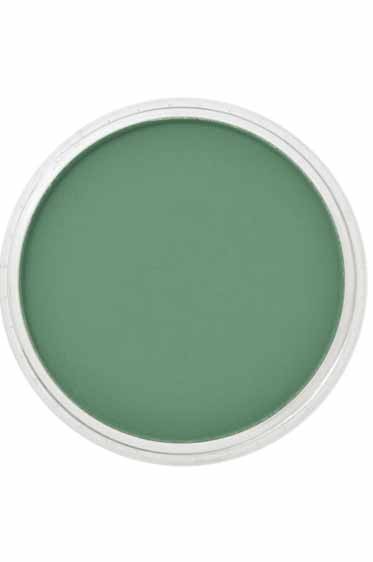 PanPastel Colors: 640.1 Permanent Green Extra Dark