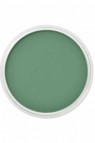 PanPastel Colors: 640.3 Permanent Green Shade