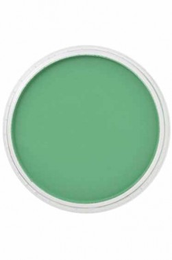 PanPastel Colors: 640.3 Permanent Green Shade