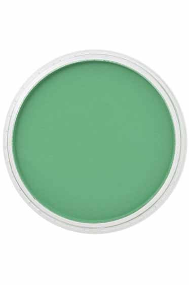 PanPastel Colors: 640.3 Permanent Green Shade