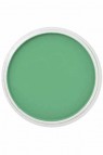 PanPastel Colors: 640.5 Permanent Green