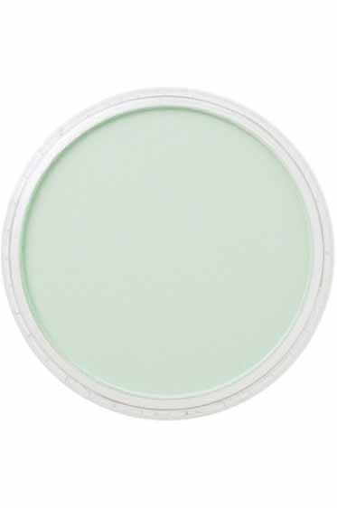 PanPastel Colors: 640.5 Permanent Green